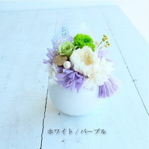 Չ Ƃ MTCY vU[uht[ 11܂őo  䋟   ybg ~@V~@^bZ@ފ @ d O RpNg { Ԃ e }  