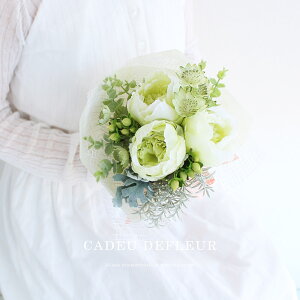 sIj[u[P u[P A[eBtBVt[  u[P ԑ  11܂őo  i` ~jMtg v[g a 蕨 FB  Ԃ j 