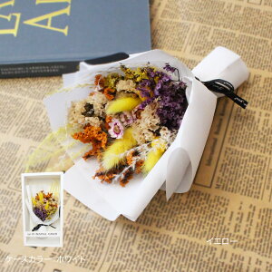 hC~j hCt[ 11܂őo Mtg v[g {bNX a ̓ j Ԃ FB  킢 lC@ 蕨 XbO  \ Vzj җj