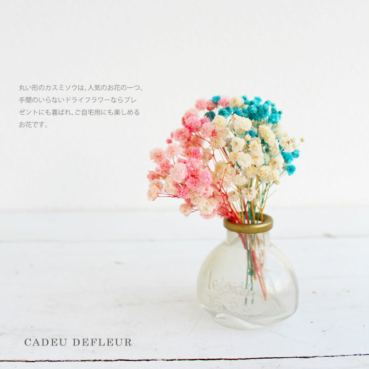 楽天市場 ドライフラワー カスミソウ ミニブーケ タイニー ブーケ ギフト プレゼント クリアボックス かすみ草 誕生日 お祝い お返し 母の日 友達 おしゃれ かわいい 人気 自宅 贈り物 結婚式 ブライダル イベント 発表会 送別 退職 卒業 記念 開店 カスミ草 ハナミーツ