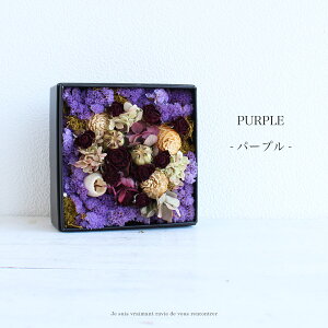 hCt[{bNX D017 11܂őo hCt[ \[[t[ i` {bNX Mtg ̓ v[g a j Ԃ FB  蕨   