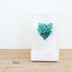 JX~\E ~ju[P hCt[ 11܂őo ^Cj[ u[P Mtg NA{bNX ݑ a j Ԃ ̓  킢 lC 蕨  uC_ 