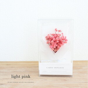 JX~\E ~ju[P hCt[ 11܂őo ^Cj[ u[P Mtg NA{bNX ݑ a j Ԃ ̓  킢 lC 蕨  uC_ 