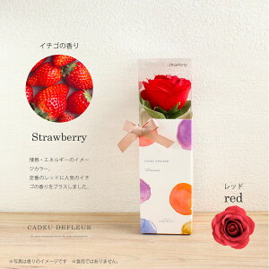 A}[Y \[vt[ 11܂őo vVX P[X  ߂Ẵ\[vt[  Ǝ \ ̓ Cxg 킢 t[c  Ό  Mtg v