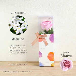 A}[Y \[vt[ 11܂őo vVX P[X  ߂Ẵ\[vt[  Ǝ \ ̓ Cxg 킢 t[c  Ό  Mtg v