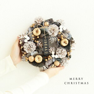 hC[X KW-079 11܂őo NX}X Cu Xmas ~ EB^[ ̓ Ǌ|  JXj  Mtg v[g a CeA 蕨  FB CeA Ԃ G