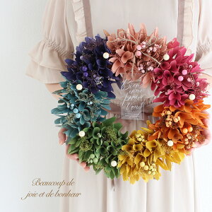 hC[X KW-093L 11܂őo NX}X EB^[ ̓ Ǌ|  JXj  Mtg v[g a CeA 蕨  FB CeA Ԃ G ni~