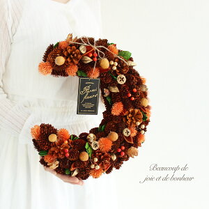 hC[X KW-094L 11܂őo nEB [ [[X  I[^ H n ̓ Ǌ|  JXj  Mtg v[g a CeA 蕨  FB 