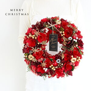 hC[X KW-100L 11܂őo NX}X Cu Xmas ~ EB^[ ̓ Ǌ|  JXj  Mtg v[g a CeA 蕨  FB CeA Ԃ 