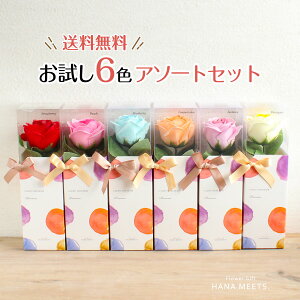 A}[Y \[vt[ A\[gZbgBOX 6FA\[g bh×1 sN×1 [u×1 IW×1 CG[×1 u[×1@v6 ZbgBOX@@Zbg