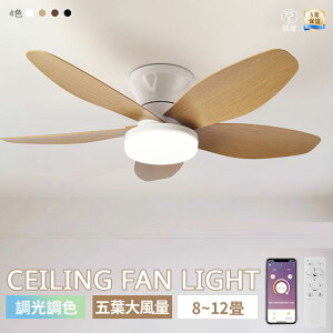 yX[p[SALE zI5Nۏ؁zV[Ot@Cg 5H 啗 LED @tƖ F t] 8-12Ή ^y É VOK ^C}[ Cz rO/Q  2025