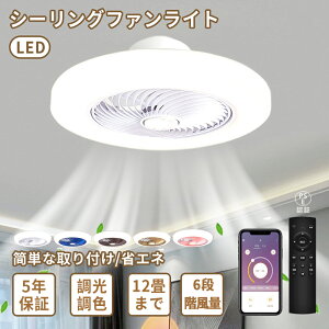 y5Nۏ؁zV[Ot@Cg DC[^[ V[OCg @ LED  k 12 6 8 F ^ Â y Ɩ VƖ Rt ƒp ʒ y Ԑ