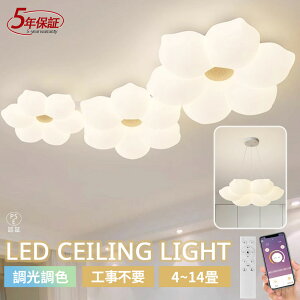 y5Nۏ؁z V[OCg LED    rO Q q kch 68101214 F Rt dC Ɩ  VƖ X}z CeA