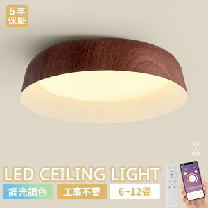 y}\10OFF5Nۏ؁zV[OCg LED ؖڒ k  rO Q q  L F LED铔 ӓؐF LEDV[O 6810 dC LEDVƖ Ԑ