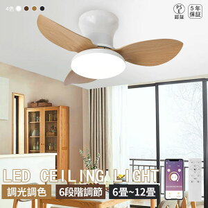 y5Nۏ؁zV[Ot@Cg V V[OCg  g[ 6 8 10 12 F V[Ot@ LEDV[OCg ^ É ʒ Ɩ t@t