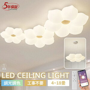 y}\10OFFI5Nۏ؁z V[OCg LED    rO Q q kch 68101214 F Rt dC Ɩ  ؖڒ V