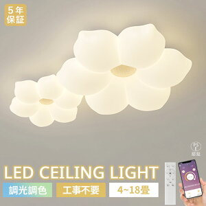 y}\10OFFI5Nۏ؁z V[OCg LED k c    rO Q q 68101214 F Rt dC Ɩ  VƖ X}