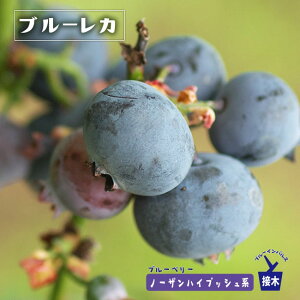 yu[Jz m[UnCubVn 2Nږؕc u[x[c Fu[CpX