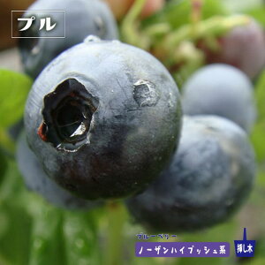 yvz m[UnCubVn 2N}ؕc u[x[c