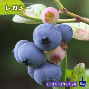 yKV[z m[UnCubVn 2N}ؕc u[x[c