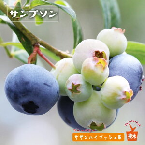 yTv\z TUnCubVn 3Nږؑc u[x[c