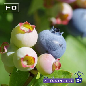 ygz m[UnCubVn 2Nږؕc u[x[c u[CpX