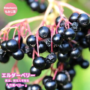 G_[x[iG_[t[j y~Wtz 5|bgc