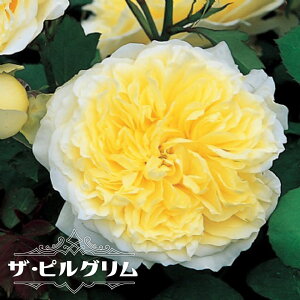 oc yU sOz 2Nc 6|bg o^iEio^ y\̔z1`2ח\