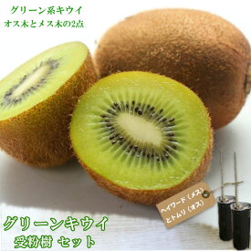 楽天市場 キウイ 花粉の通販