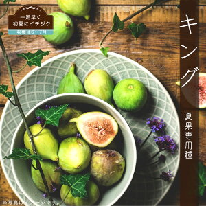  yLOz 1Nc y\̔z12`N1ח\