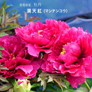 yVgz iԌnj O 2N 6XbgA