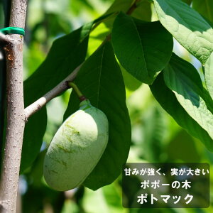 ||[ c y|g}bNz 1Nږؕc