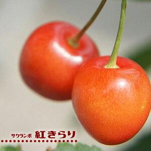 1{łȂ邳ڂ̖ ygz 1Nږؕc y\̔z12`N1ח\
