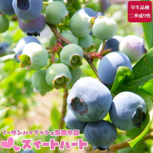 yXC[gn[g (lu[x[c)z 2Nږؕc m[UnCubVn u[x[c