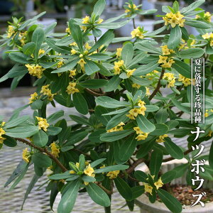 ic{EY 3.5|bgc  yniqo[z