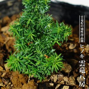 qmL y_[ iΉ jz 3.5|bgc yniqo[z