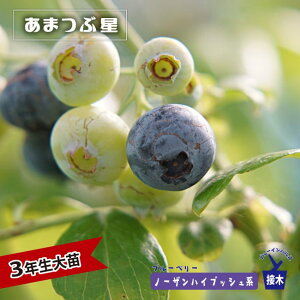 y܂Ԑz m[UnCubVn 3Nږؑc u[x[c u[CpX