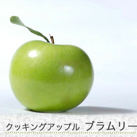 りんご苗木 【ブラムリー】 1年生接木苗 クッキングアップル