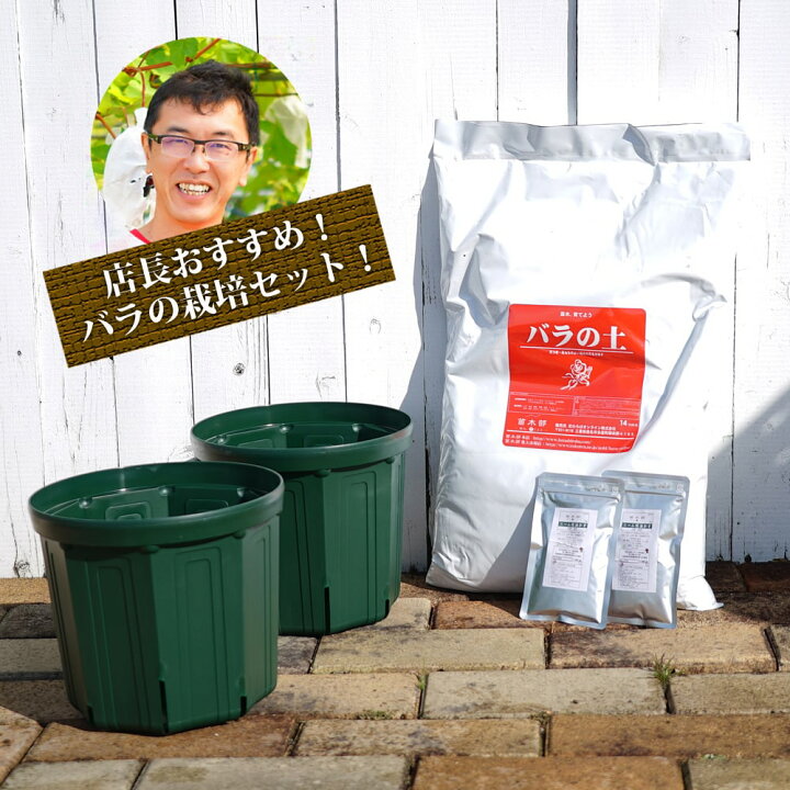 楽天市場 初心者向け バラ鉢植え栽培セット 苗木部 by 花ひろばオンライン 楽天市場 初心者向け バラ鉢植え栽培セット 苗木部 by 花ひろばオンライン
