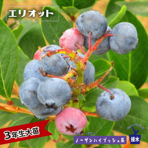 yGIbgz m[UnCubVn 3Nږؑc u[x[c u[CpX