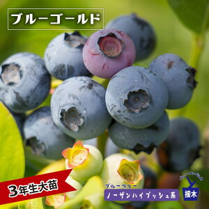 yu[S[hz m[UnCubVn 3Nږؑc u[x[c u[CpX