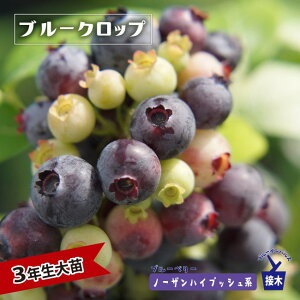 yu[Nbvz m[UnCubVn 3Nږؑc u[x[c u[CpX