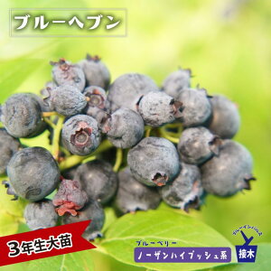 yu[wuz m[UnCubVn 3Nږؑc u[x[c u[CpX