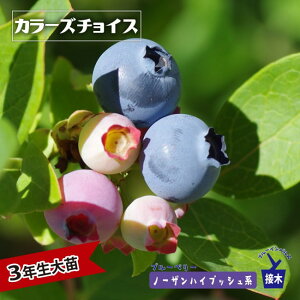 yJ[Y`CXz m[UnCubVn 3Nږؑc u[x[c u[CpX