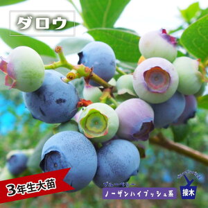 ym[U_Ez m[UnCubVn 3Nږؑc u[x[c u[CpX