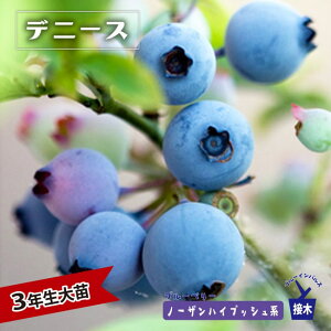 yfj[XifjXu[jz m[UnCubVn 3Nږؑc u[x[c u[CpX