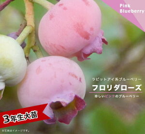 yt_[Yz rbgACn u[x[ 3N}ؑc o^iEco^