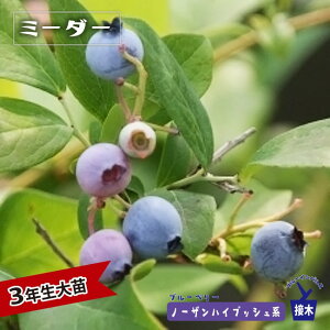 y~[_[z m[UnCubVn 3Nږؑc u[x[c u[CpX