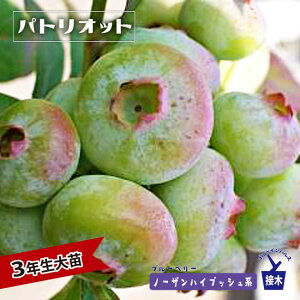 ypgIbgz m[UnCubVn 3Nږؑc u[x[c u[CpX