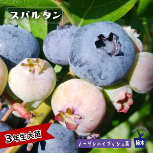 ym[UXp^z m[UnCubVn 3Nږؑc u[x[c Fu[CpX